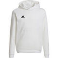 Pulls/Sweat sur Grenoble : Sweat-shirt enfant adidas ENT22 HOODY Y