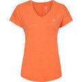 Chemises sur Grenoble : Chemise Dare 2b Vigilant Tee
