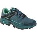 Running sur Grenoble : Chaussures Inov 8 Roclite Ultra G 320