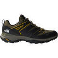 Chaussures The North Face M HEDGEHOG GORE-TEX Vert