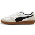 Baskets homme sur Grenoble : Baskets Puma Palermo Lth