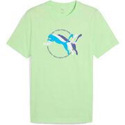 Polo Puma _M_GRAPHICS Multiple Ca