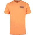 Tee-shirts sur Grenoble : T-shirt Rip Curl _M_SURF PARADISE F B TEE