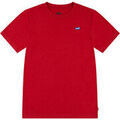 Polos enfants sur Grenoble : Polo enfant Levis LVB BATWING CHEST HIT