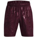 Shorts/Bermuda sur Grenoble : Short Under Armour Tech