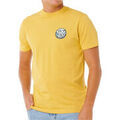 Tee-shirts sur Grenoble : T-shirt Rip Curl WETTIE PASSAGE ICON TEE