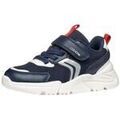 Baskets femme sur Grenoble : Baskets basses Geox Baskets Loftus Bleu Navy