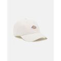 Chapeaux sur Grenoble : Chapeau Dickies HARDWICK DK0A4TKV-C58 CLOUD