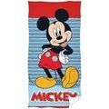 Accessoires sur Grenoble : Serviettes et gants de toilette Disney TA11820