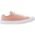 Baskets femme sur Grenoble : Baskets Converse Chuck Taylor All Star