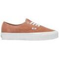 Baskets homme sur Grenoble : Baskets Vans Premium Authentic 44