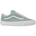 Baskets homme sur Grenoble : Baskets Vans Premium Old Skool 36