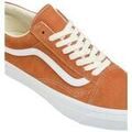 Baskets homme sur Grenoble : Baskets Vans Premium Old Skool 36