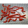 Durites Silicone sur Tournon-sur-Rh&ocirc;ne : Roose Motorsport Land Rover Discovery TD5 2.5 98-04 - Kit durites silicone auxiliaires