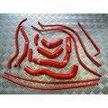 Durites Silicone sur Tournon-sur-Rh&ocirc;ne : Roose Motorsport Yamaha YZF R6 03-05 - Kit durites silicone de refroidissement principales