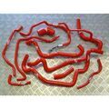 Durites Silicone sur Tournon-sur-Rh&ocirc;ne : Roose Motorsport Astra G Z20LET 16V Turbo - Kit durites silicone auxiliaires
