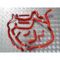 Durites Silicone sur Tournon-sur-Rh&ocirc;ne : Roose Motorsport Astra H 888 / 1.9 CDTI 16V - Kit durites silicone auxiliaires