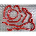 Durites Silicone sur Tournon-sur-Rh&ocirc;ne : Roose Motorsport Escort 1.6 / 1.8 Zetec MK5 - Kit durites silicone auxiliaires